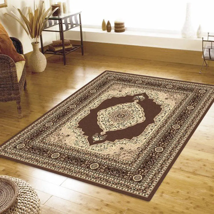 Budget Collection 6332 Brown Saray Rugs