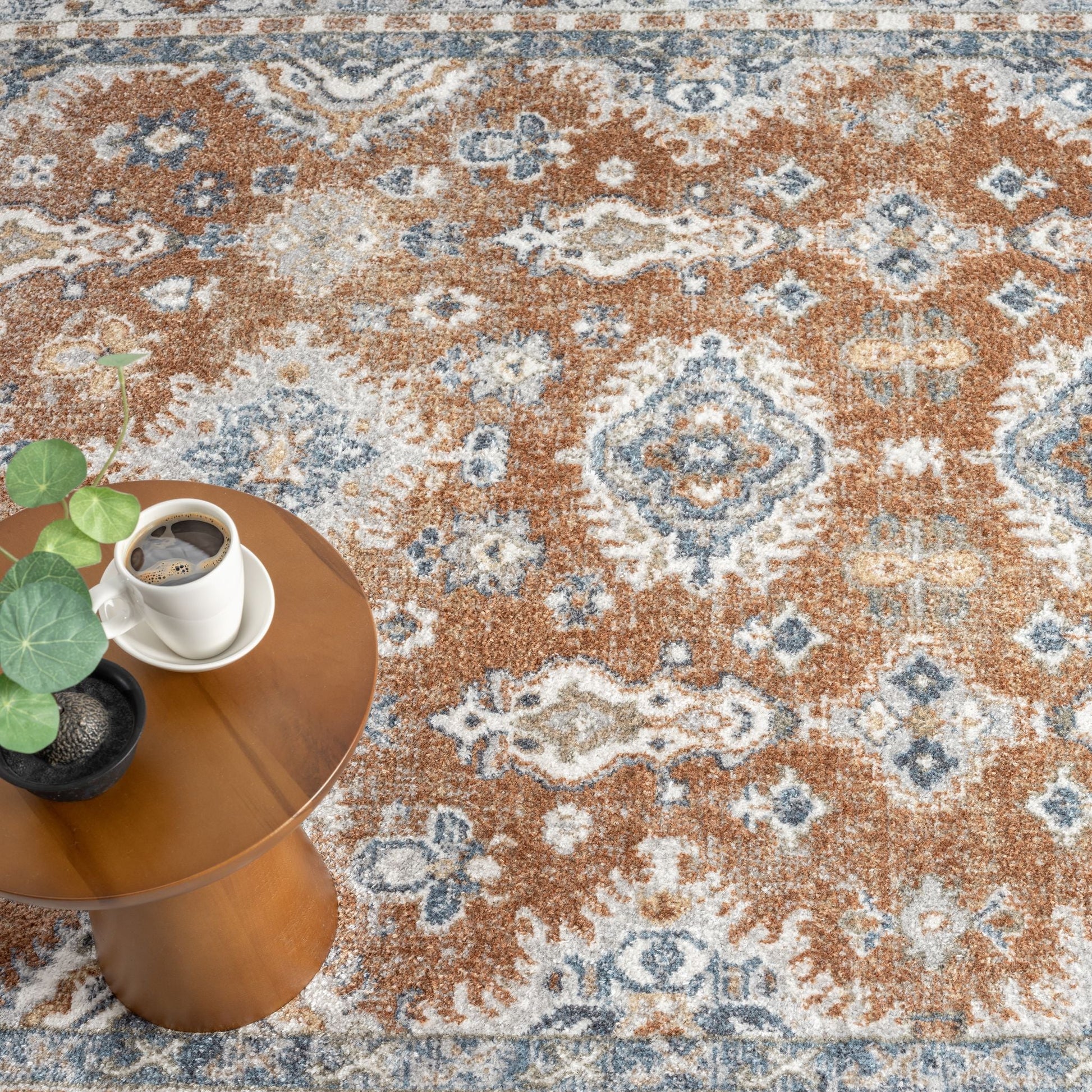 Easy 367 Terra Saray Rugs